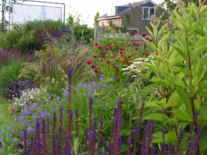 Borders langs de oprit en het naast het pad dat toegang geeft tot de kwekerij