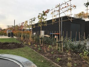 Aanleg nieuwbouw tuin aan de Golfresidentie in Dronten